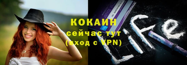 прущие грибы Алзамай