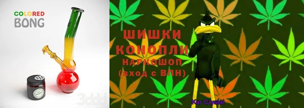 a pvp Абаза