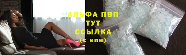 сатива Алексин