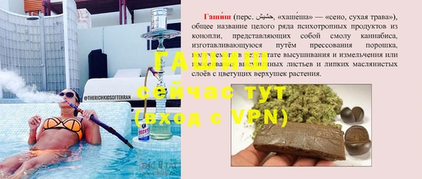 прущие грибы Алзамай