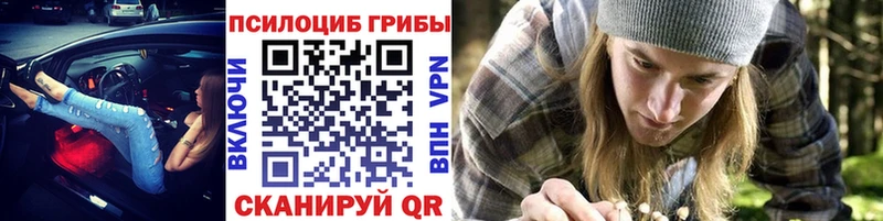 Псилоцибиновые грибы GOLDEN TEACHER  Шали 