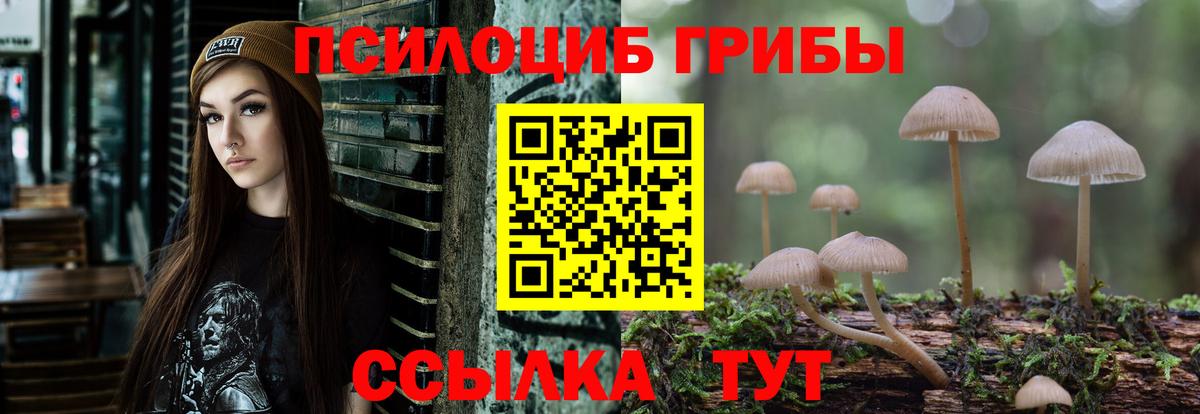 Шали  Псилоцибиновые грибы Psilocybe  наркотики  Вход с VPN  Псилоцибиновые грибы Magic Shrooms 