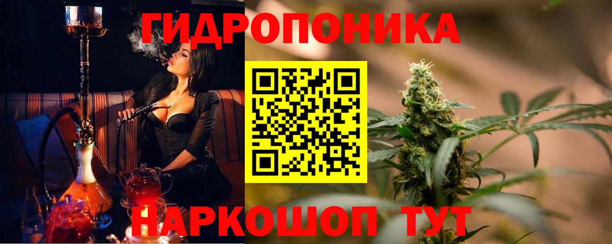 Шишки марихуана семена Шали